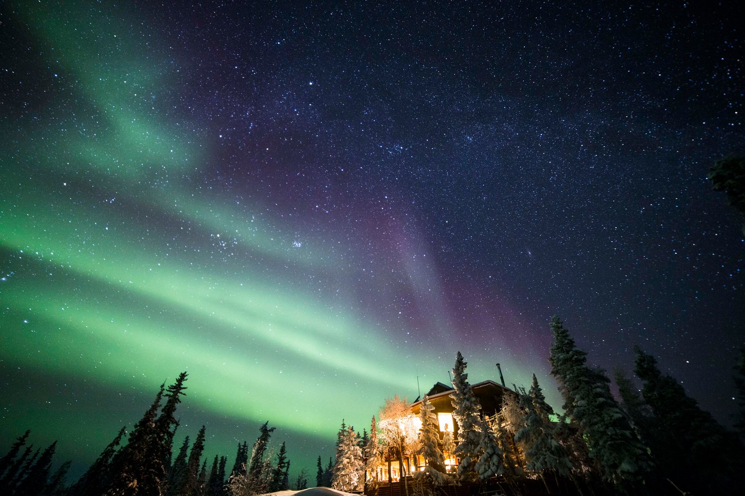 Blachford Lodge Private Buy Out